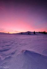pink light.jpg